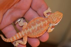 DSC_2059.jpg