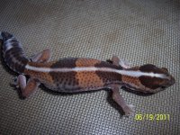 100_3094.jpg