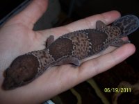 100_3096.jpg