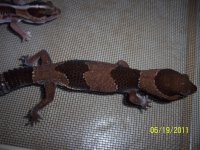 100_3095.jpg