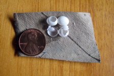 Lygo_Eggs.jpg