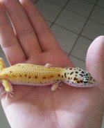 2011-08-25_15-10-32_413.jpg