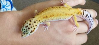 2011-08-25_15-12-26_118.jpg