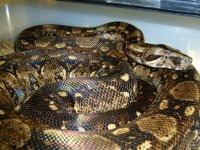2-23-11 006.jpg
