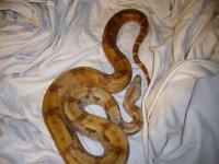 3-24-11 008.jpg