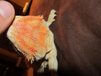 IMG_1974.jpg