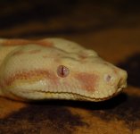 DSC_3395.JPG