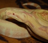 DSC_3411.JPG