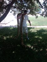 IMG00029-20100709-1202.jpg