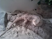 2011-08-25_20-40-31_538.jpg
