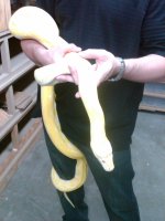 IMG00032-20100714-1331.jpg