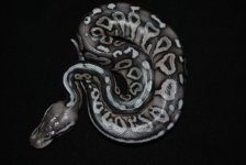 DSC_2912.jpg