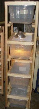 4 high lizard rack.JPG
