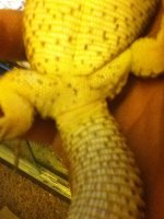 IMG_0680.JPG