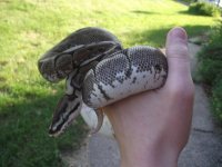 Spikeoutside 005.jpg