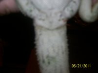 101_4404.jpg