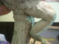 101_4411.jpg