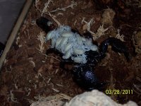 100_2078.jpg