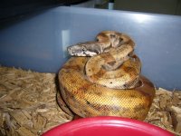 3-17-11 002.jpg