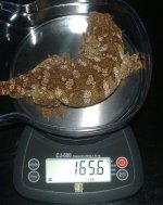 76. 5-15-11.JPG