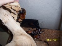 100_2310.jpg