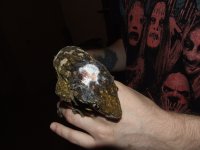 Juliette's Head 004.jpg