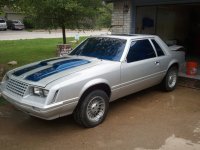 Mustang.jpg