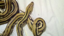 2011-04-20_21-04-52_375.jpg