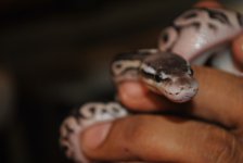 DSC_3024.jpg