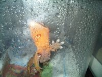 IMG00236-20110313-1444.jpg