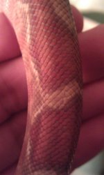 IMAG0072.jpg