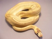 2011_06090004.JPG
