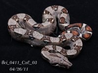 cxe 03 2.jpg
