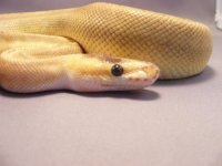 2011_06090006.JPG