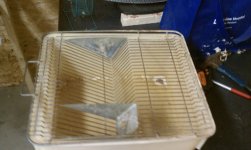 IMAG0335.jpg
