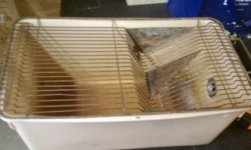 IMAG0337.jpg