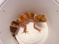 2011_05280015.JPG