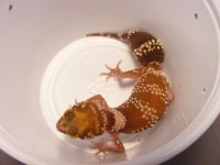2011_05280013.JPG