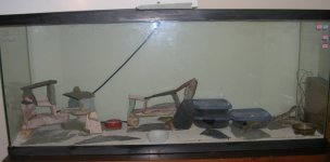 -0043pic.JPG