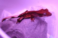 IMG_3314.jpg