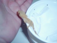 crested gecko set ups 008.jpg