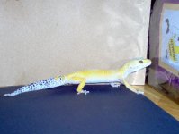 Picture 085.jpg
