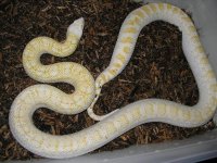 P1010052.JPG