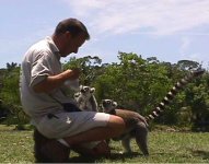 Lemurs and James 2.jpg