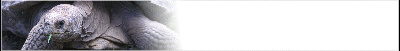 tort-banner_b.gif
