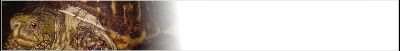 tort-banner_b7.gif