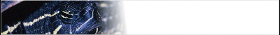 tort-banner_b8.gif