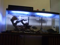tank7.jpg
