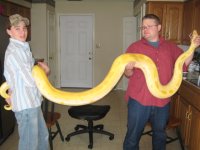 IMG_0295.jpg
