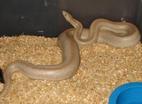 7_2007gravid98ghostsanfelipe.jpg